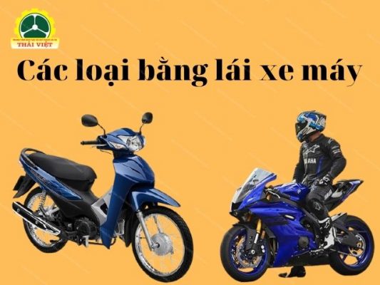 Cac-loai-bang-lai-xe-may-hien-nay-tai-Viet-Nam