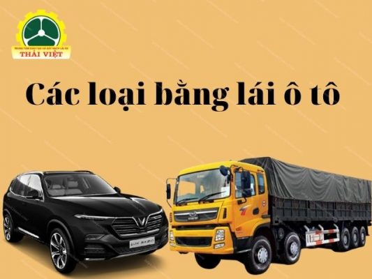 Cac-loai-bang-lai-xe-oto-hien-nay-tai-Viet-Nam
