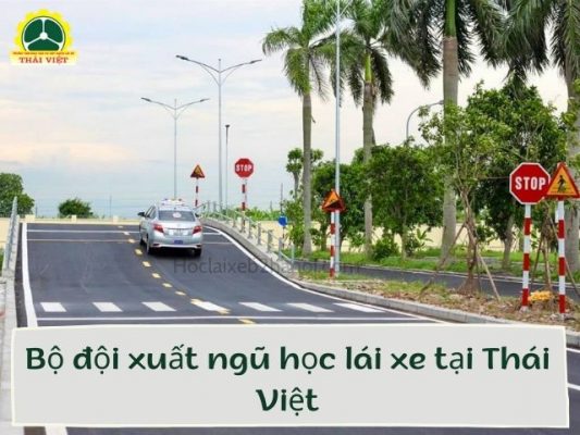 Tai-sao-bo-doi-xuat-ngu-nen-hoc-lai-xe-tai-Thai-Viet
