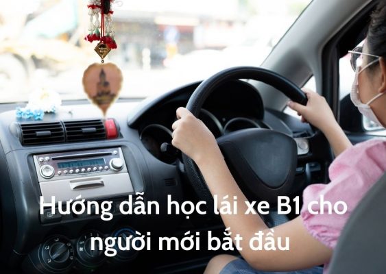 Hướng dẫn học lái xe B1 chi tiết cho người mới bắt đầu